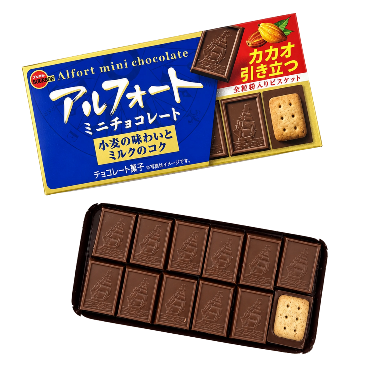 Alfort Mini tray beside the blue box, eleven pieces chocolate-side up and one showing the wholemeal biscuit base